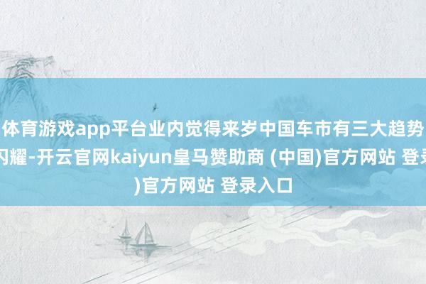 体育游戏app平台业内觉得来岁中国车市有三大趋势值得闪耀-开云官网kaiyun皇马赞助商 (中国)官方网站 登录入口