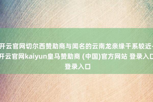 开云官网切尔西赞助商与闻名的云南龙亲缘干系较近-开云官网kaiyun皇马赞助商 (中国)官方网站 登录入口