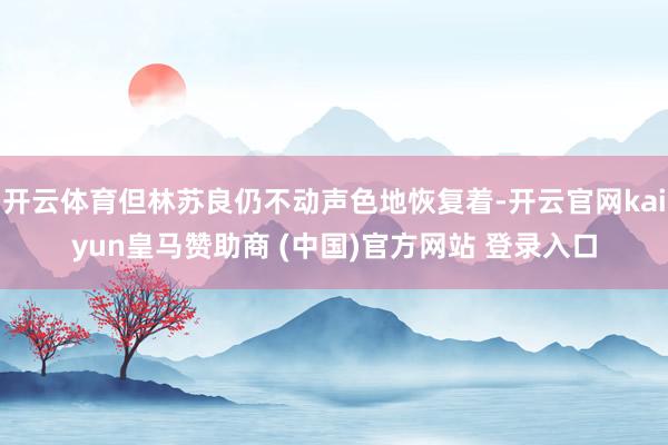 开云体育但林苏良仍不动声色地恢复着-开云官网kaiyun皇马赞助商 (中国)官方网站 登录入口