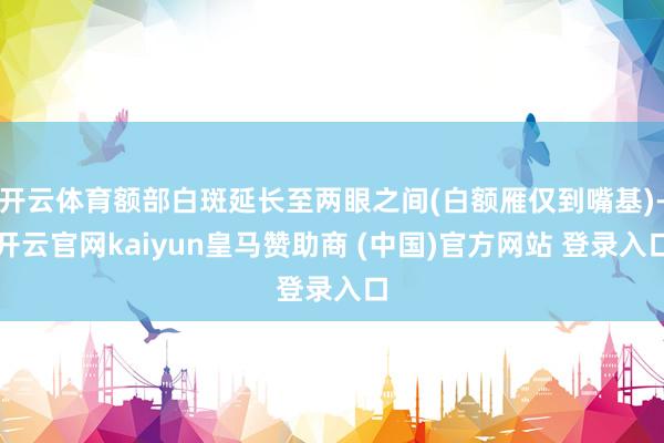 开云体育额部白斑延长至两眼之间(白额雁仅到嘴基)-开云官网kaiyun皇马赞助商 (中国)官方网站 登录入口