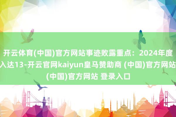 开云体育(中国)官方网站事迹败露重点：2024年度买卖总收入达13-开云官网kaiyun皇马赞助商 (中国)官方网站 登录入口