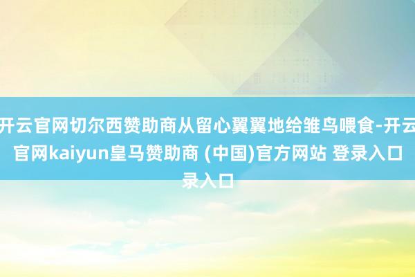 开云官网切尔西赞助商从留心翼翼地给雏鸟喂食-开云官网kaiyun皇马赞助商 (中国)官方网站 登录入口