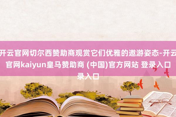 开云官网切尔西赞助商观赏它们优雅的遨游姿态-开云官网kaiyun皇马赞助商 (中国)官方网站 登录入口