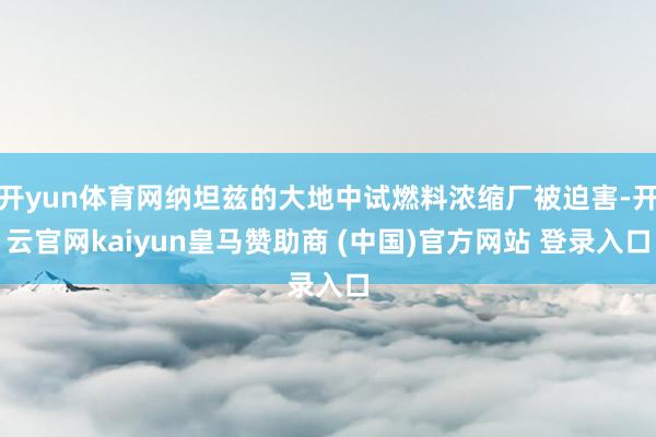 开yun体育网纳坦兹的大地中试燃料浓缩厂被迫害-开云官网kaiyun皇马赞助商 (中国)官方网站 登录入口
