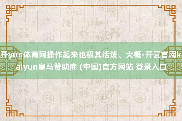 开yun体育网操作起来也极其活泼、大概-开云官网kaiyun皇马赞助商 (中国)官方网站 登录入口