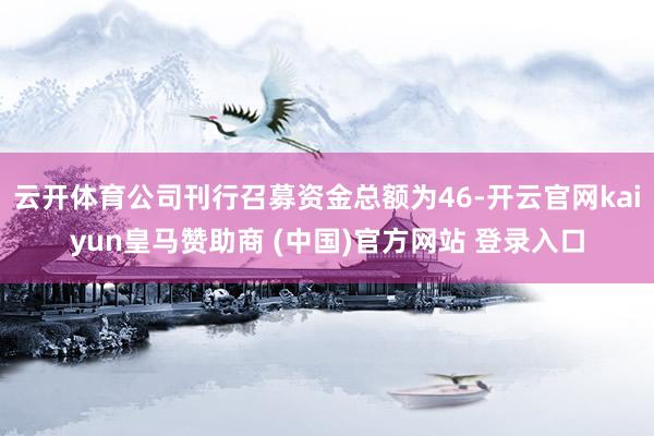 云开体育公司刊行召募资金总额为46-开云官网kaiyun皇马赞助商 (中国)官方网站 登录入口