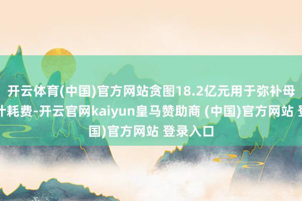 开云体育(中国)官方网站贪图18.2亿元用于弥补母公司累计耗费-开云官网kaiyun皇马赞助商 (中国)官方网站 登录入口