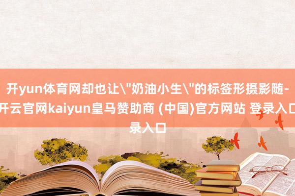 开yun体育网却也让