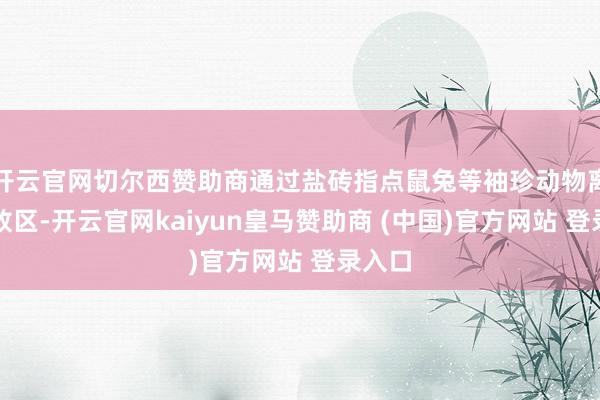 开云官网切尔西赞助商通过盐砖指点鼠兔等袖珍动物离开燃放区-开云官网kaiyun皇马赞助商 (中国)官方网站 登录入口